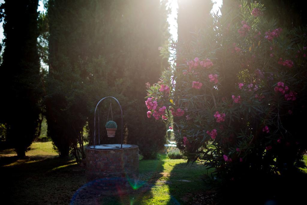 Agriturismo Palazzo Val Del Sasso Βίλα Villastrada  Εξωτερικό φωτογραφία